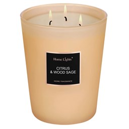 Show details for Citrus & Wood Sage Large Jar Candle | SELECTION SERIES 1316 Model Picture of Citrus & Wood Sage Large Jar Candle | SELECTION SERIES 1316 Model
